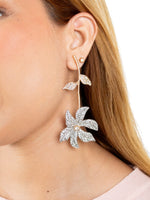 Aretes Brisa