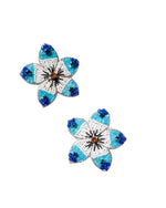 Aretes Brisa