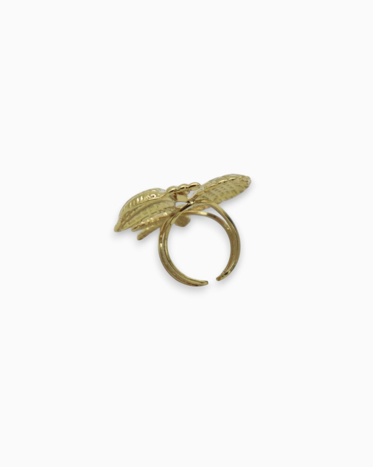 Anillo Mar