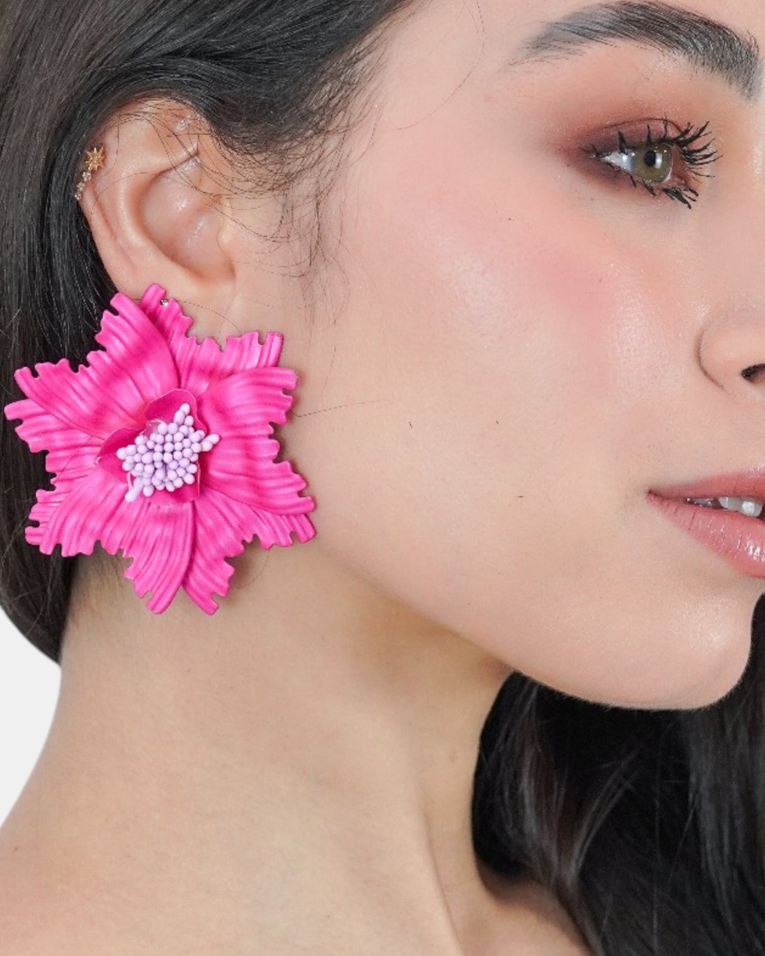 Aretes Cayena